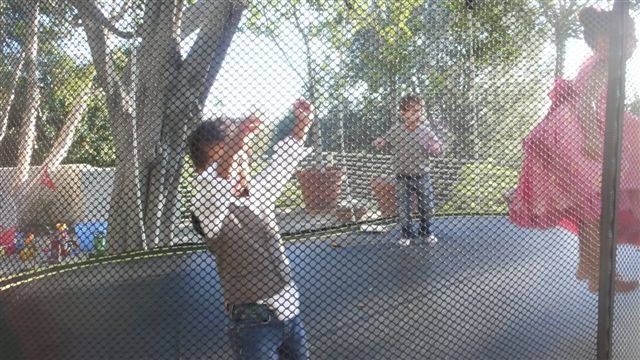 Bouncing on the trampoline